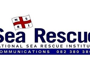 Loggerhead Turtle rescue